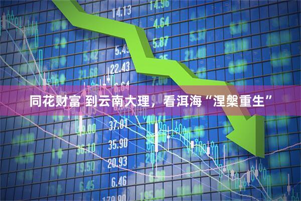 同花财富 到云南大理，看洱海“涅槃重生”