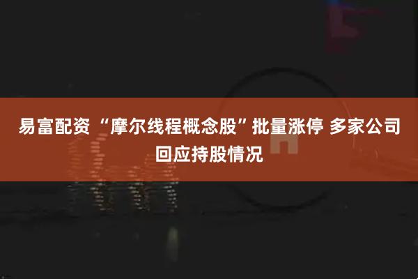 易富配资 “摩尔线程概念股”批量涨停 多家公司回应持股情况